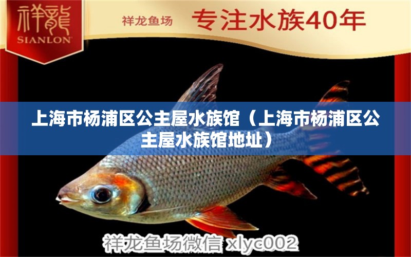 上海市杨浦区公主屋水族馆（上海市杨浦区公主屋水族馆地址）