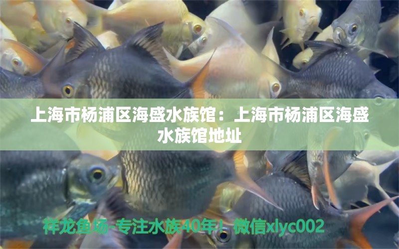 上海市杨浦区海盛水族馆：上海市杨浦区海盛水族馆地址 全国水族馆企业名录