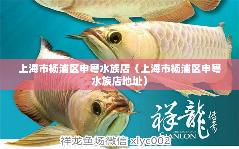 上海市杨浦区申粤水族店（上海市杨浦区申粤水族店地址） 全国水族馆企业名录