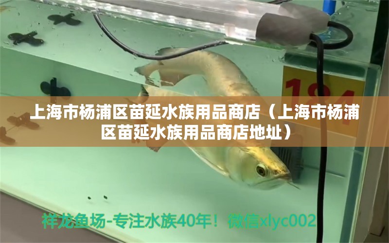 上海市杨浦区苗延水族用品商店（上海市杨浦区苗延水族用品商店地址）