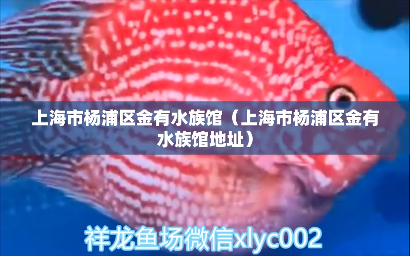 上海市杨浦区金有水族馆（上海市杨浦区金有水族馆地址） 全国水族馆企业名录