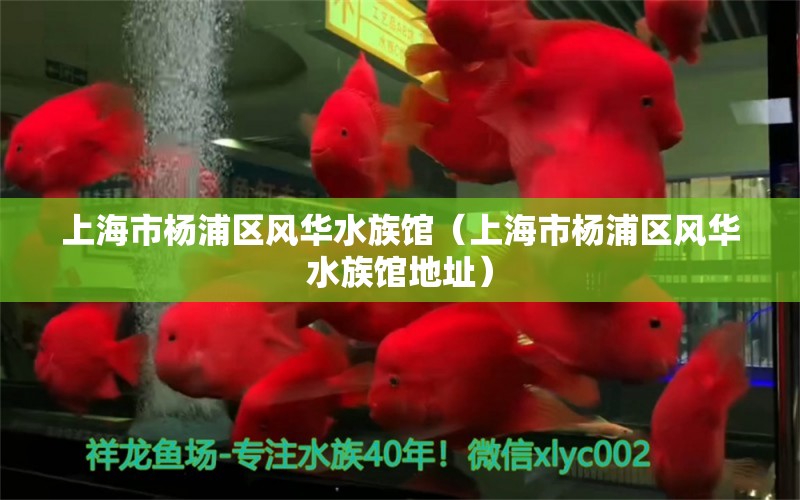 上海市杨浦区风华水族馆（上海市杨浦区风华水族馆地址） 全国水族馆企业名录
