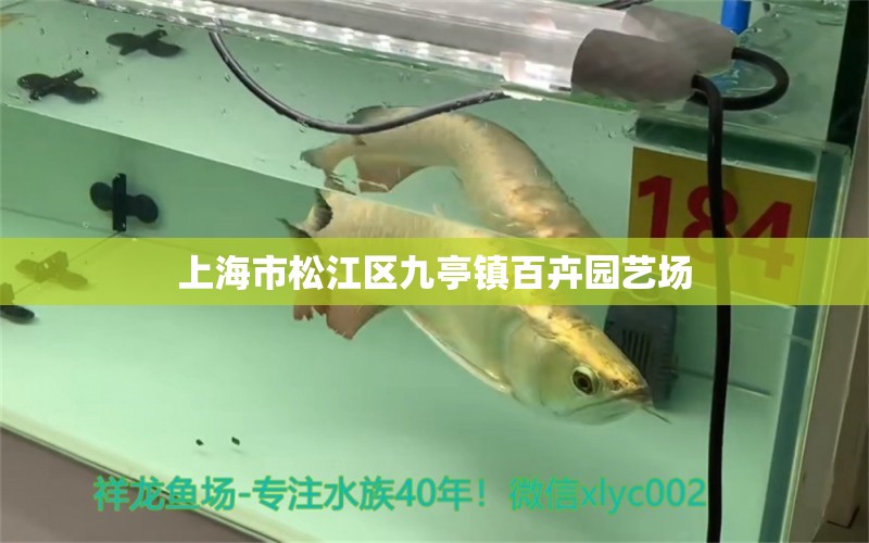 上海市松江区九亭镇百卉园艺场 全国水族馆企业名录