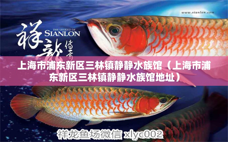 上海市浦东新区三林镇静静水族馆（上海市浦东新区三林镇静静水族馆地址）