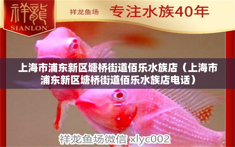 上海市浦东新区塘桥街道佰乐水族店（上海市浦东新区塘桥街道佰乐水族店电话）