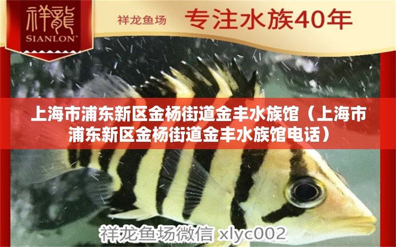 上海市浦东新区金杨街道金丰水族馆（上海市浦东新区金杨街道金丰水族馆电话）