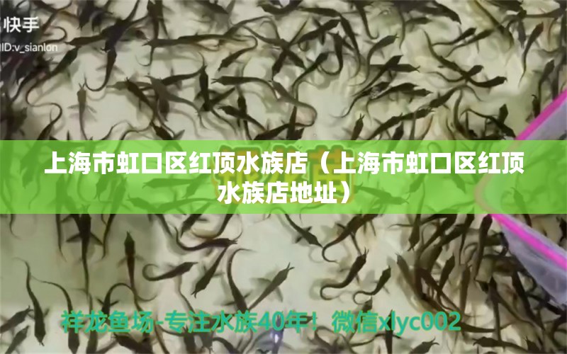 上海市虹口区红顶水族店（上海市虹口区红顶水族店地址）