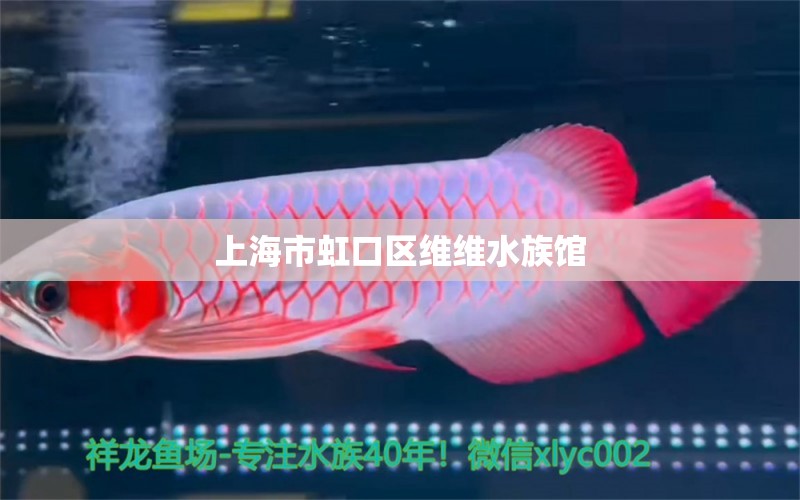 上海市虹口区维维水族馆 全国水族馆企业名录