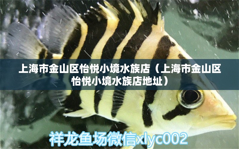 上海市金山区怡悦小境水族店（上海市金山区怡悦小境水族店地址）