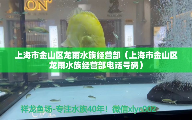 上海市金山区龙雨水族经营部（上海市金山区龙雨水族经营部电话号码） 全国水族馆企业名录