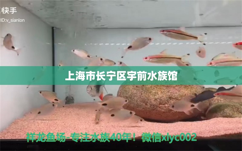 上海市长宁区宇前水族馆