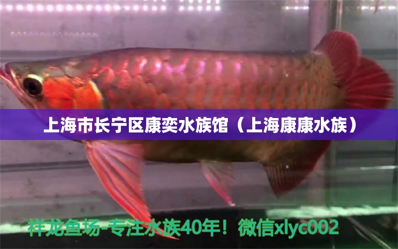 上海市长宁区康奕水族馆（上海康康水族）