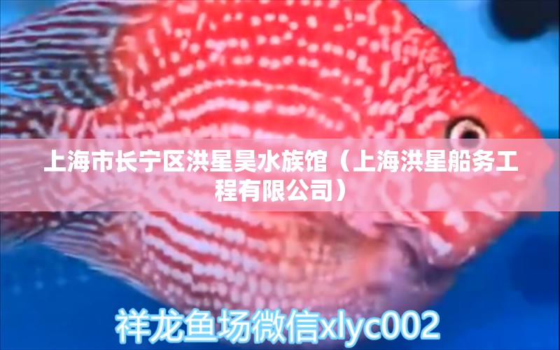 上海市长宁区洪星昊水族馆（上海洪星船务工程有限公司）