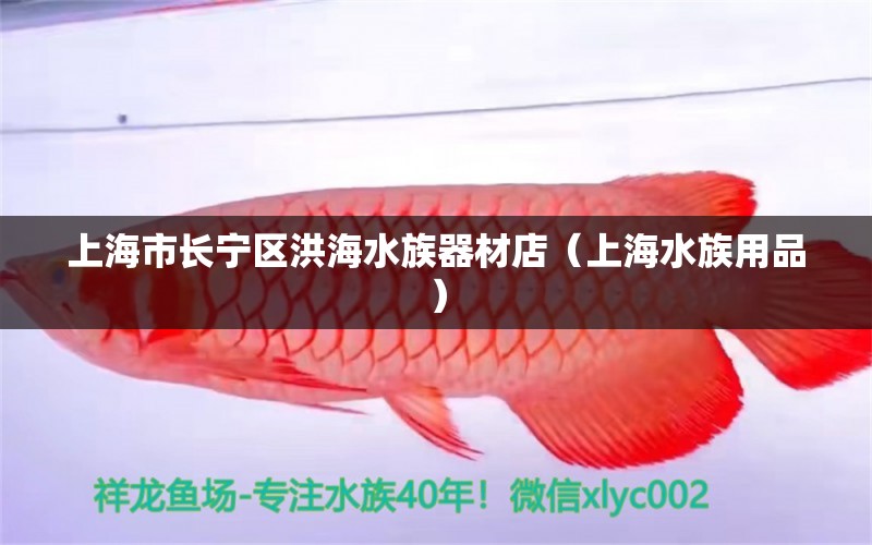 上海市长宁区洪海水族器材店（上海水族用品） 水族用品