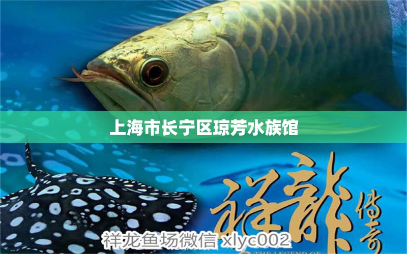 上海市长宁区琼芳水族馆