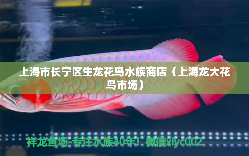 上海市长宁区生龙花鸟水族商店（上海龙大花鸟市场） 全国水族馆企业名录