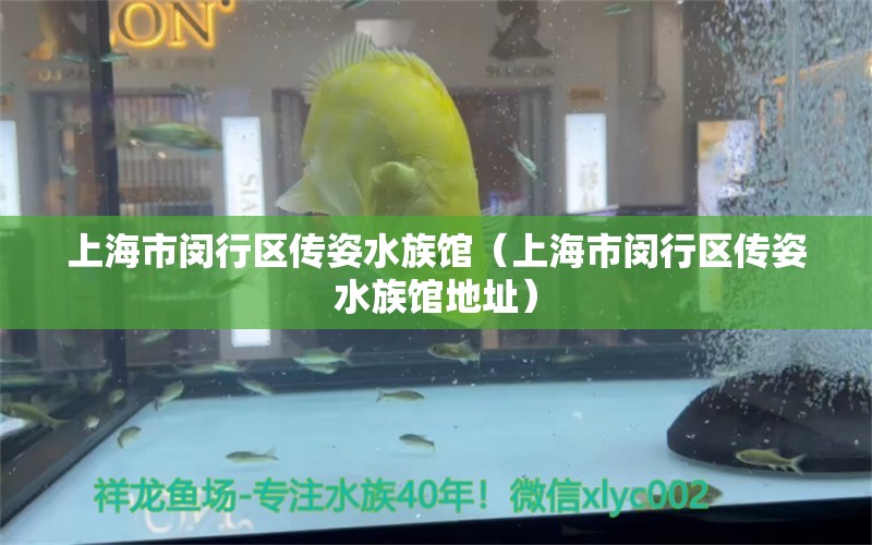 上海市闵行区传姿水族馆（上海市闵行区传姿水族馆地址） 全国水族馆企业名录