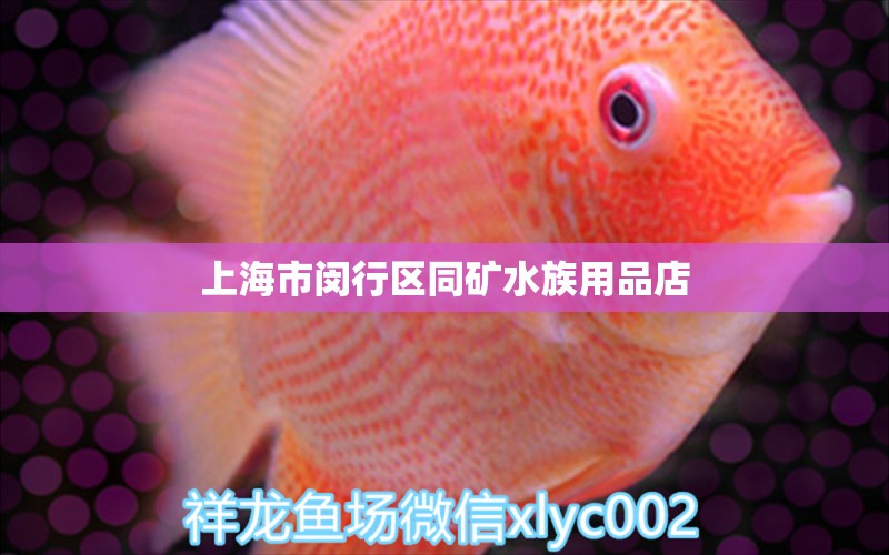 上海市闵行区同矿水族用品店