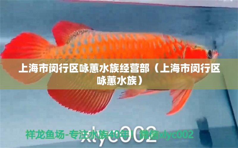 上海市闵行区咏蕙水族经营部（上海市闵行区咏蕙水族） 全国观赏鱼市场 第2张