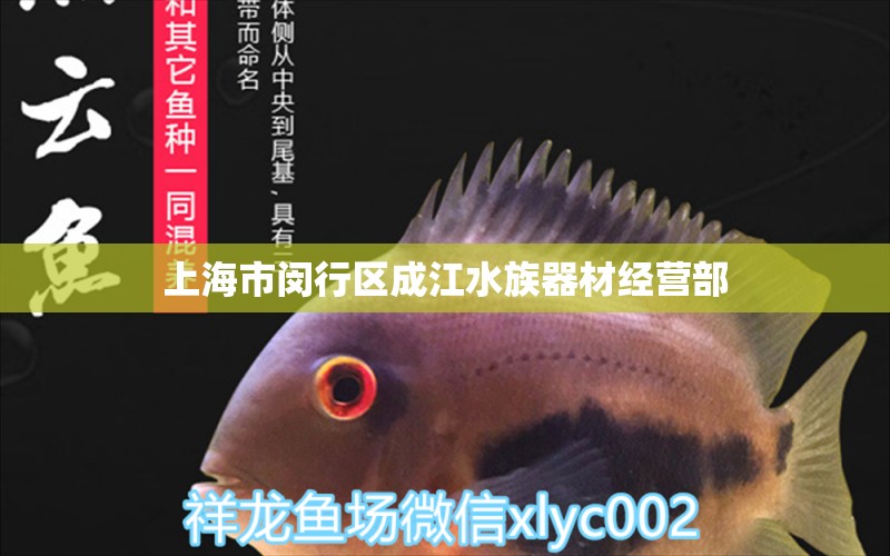 上海市闵行区成江水族器材经营部 全国水族馆企业名录