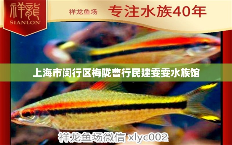 上海市闵行区梅陇曹行民建雯雯水族馆 全国水族馆企业名录