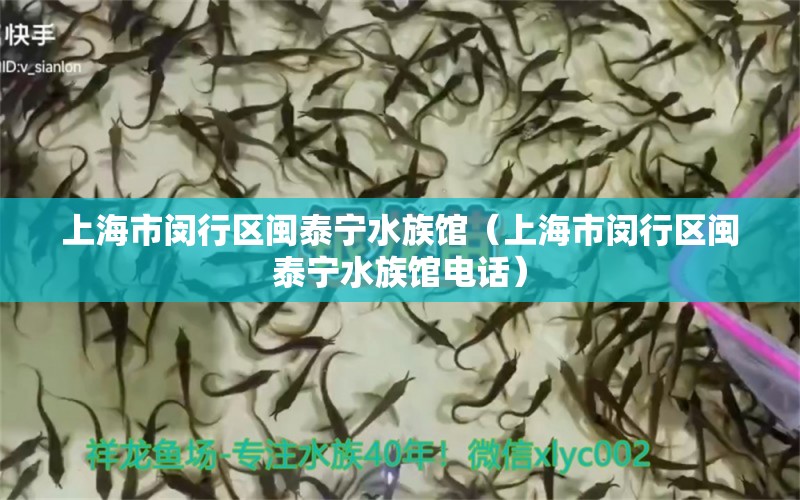 上海市闵行区闽泰宁水族馆（上海市闵行区闽泰宁水族馆电话）