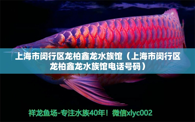 上海市闵行区龙柏鑫龙水族馆（上海市闵行区龙柏鑫龙水族馆电话号码） 全国水族馆企业名录