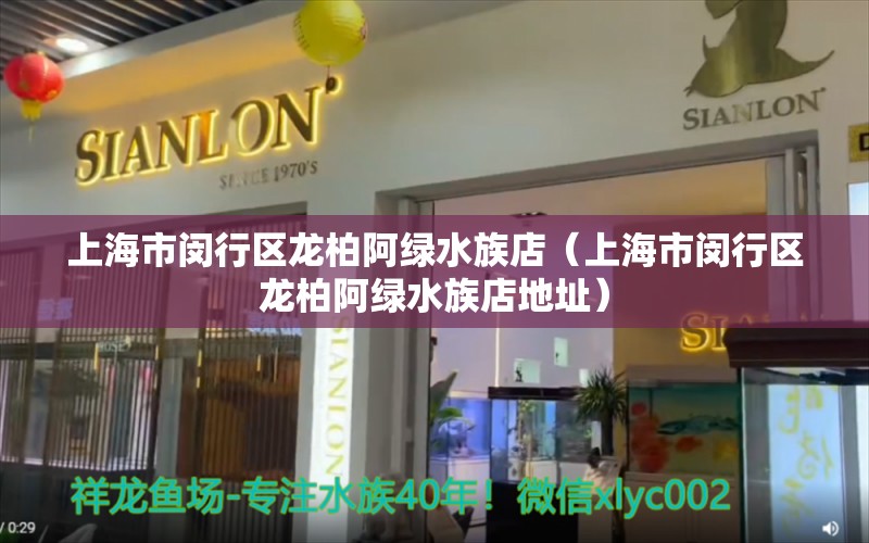 上海市闵行区龙柏阿绿水族店（上海市闵行区龙柏阿绿水族店地址）