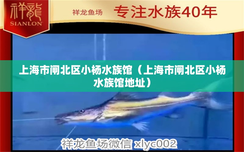 上海市闸北区小杨水族馆（上海市闸北区小杨水族馆地址） 全国水族馆企业名录