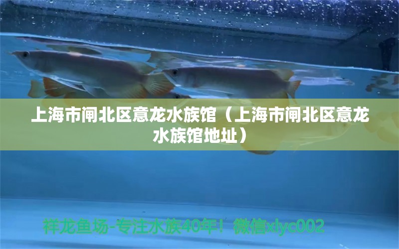 上海市闸北区意龙水族馆（上海市闸北区意龙水族馆地址） 全国水族馆企业名录