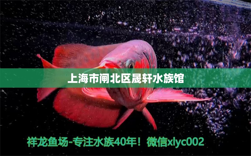 上海市闸北区晟轩水族馆