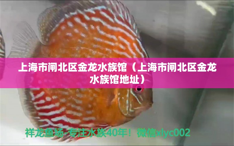 上海市闸北区金龙水族馆（上海市闸北区金龙水族馆地址） 全国水族馆企业名录