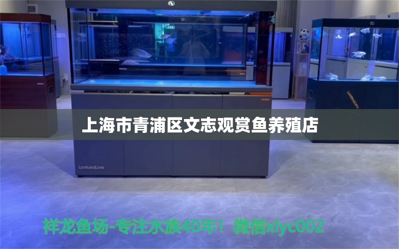 上海市青浦区文志观赏鱼养殖店 全国水族馆企业名录