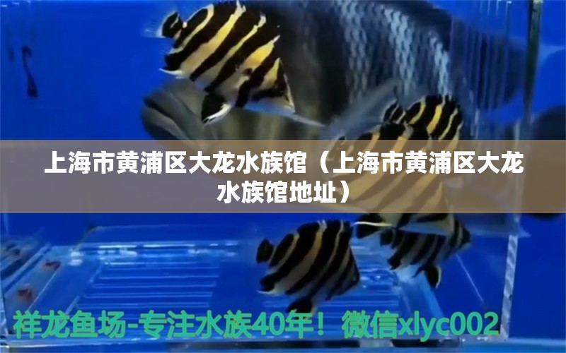 上海市黄浦区大龙水族馆（上海市黄浦区大龙水族馆地址） 全国水族馆企业名录