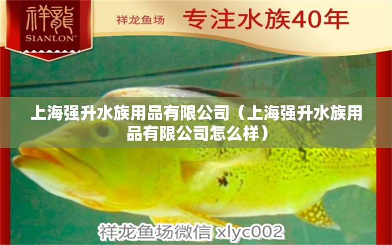 上海强升水族用品有限公司（上海强升水族用品有限公司怎么样）