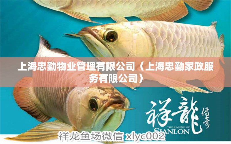 上海忠勤物业管理有限公司（上海忠勤家政服务有限公司） 全国水族馆企业名录