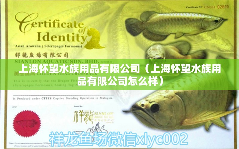 上海怀望水族用品有限公司（上海怀望水族用品有限公司怎么样）