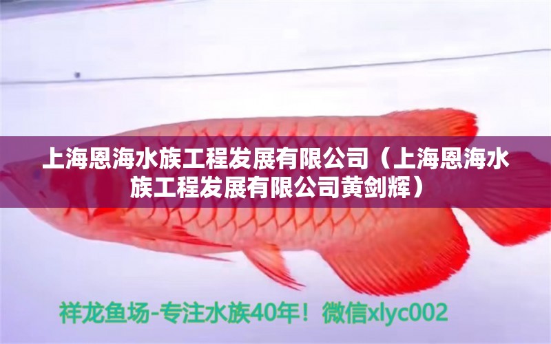 上海恩海水族工程发展有限公司（上海恩海水族工程发展有限公司黄剑辉）