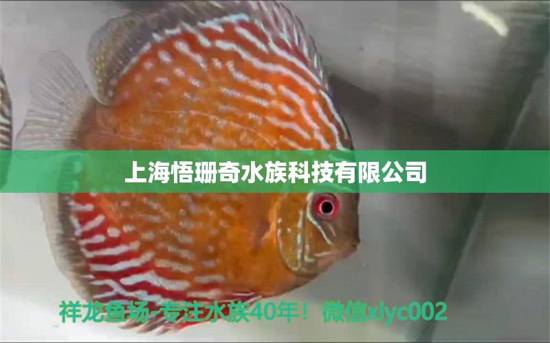 上海悟珊奇水族科技有限公司