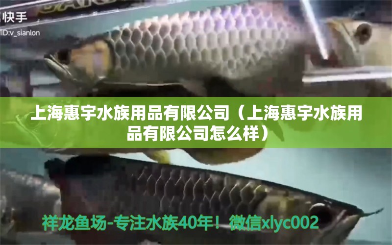 上海惠宇水族用品有限公司（上海惠宇水族用品有限公司怎么样）