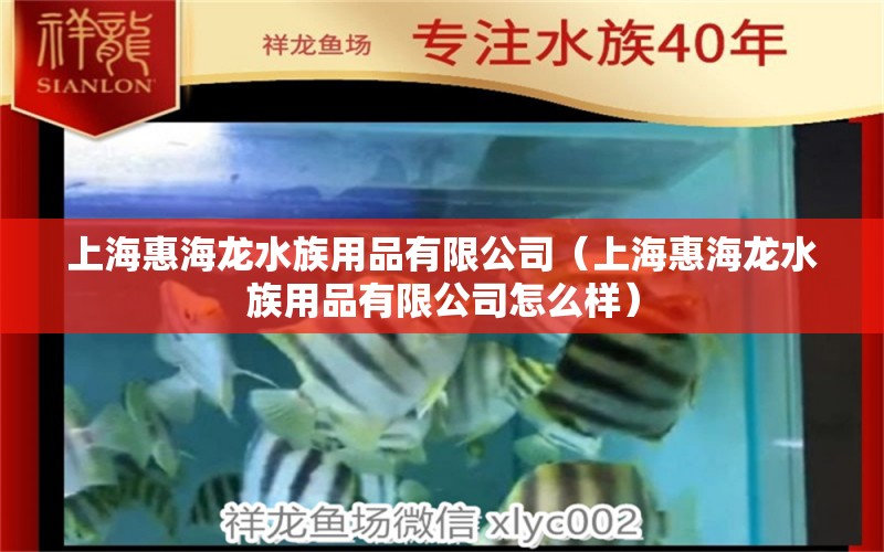 上海惠海龙水族用品有限公司（上海惠海龙水族用品有限公司怎么样）