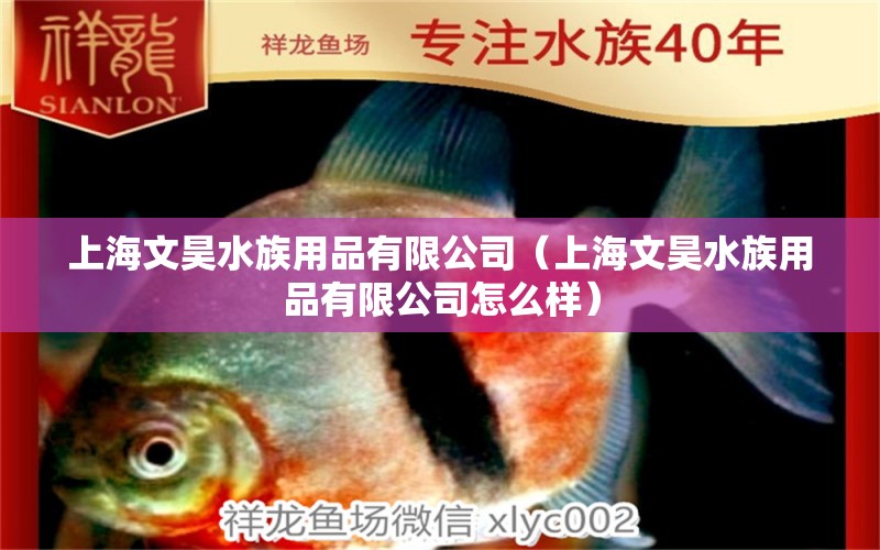 上海文昊水族用品有限公司（上海文昊水族用品有限公司怎么样）