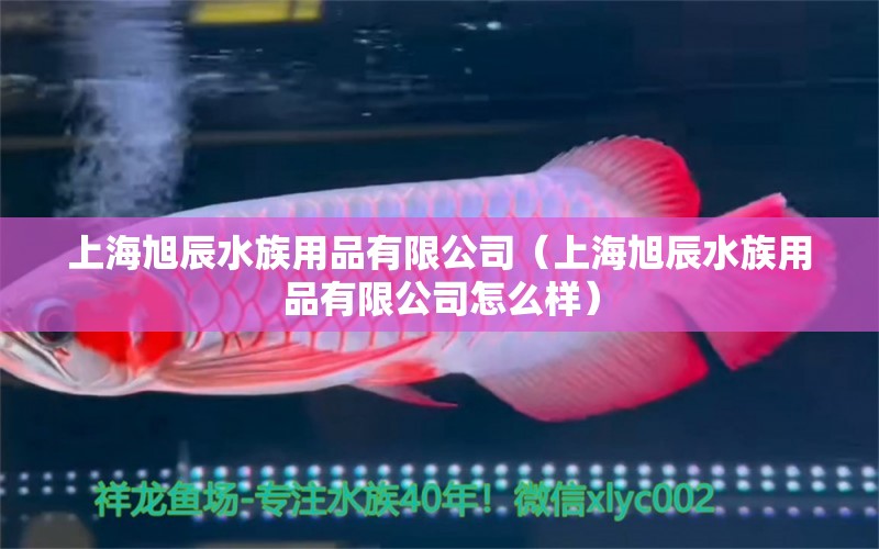 上海旭辰水族用品有限公司（上海旭辰水族用品有限公司怎么样）