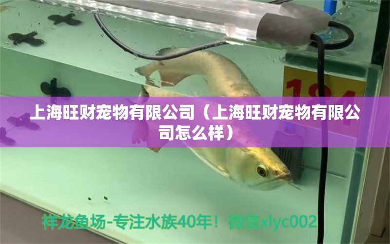 上海旺财宠物有限公司（上海旺财宠物有限公司怎么样） 全国水族馆企业名录