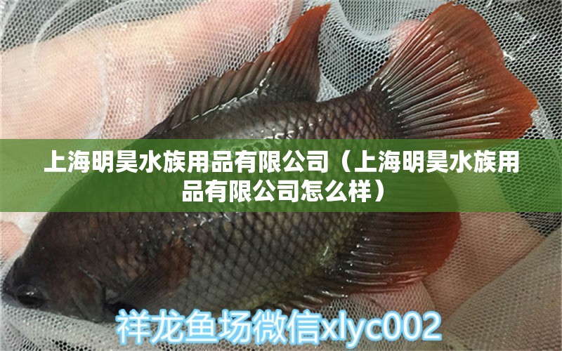 上海明昊水族用品有限公司（上海明昊水族用品有限公司怎么样）