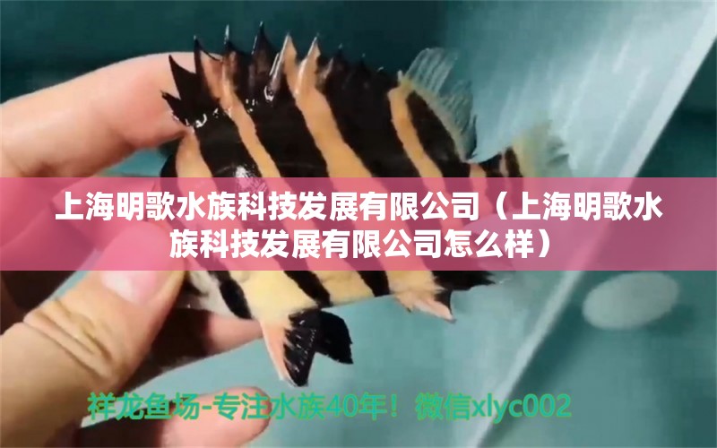 上海明歌水族科技发展有限公司（上海明歌水族科技发展有限公司怎么样） 全国水族馆企业名录