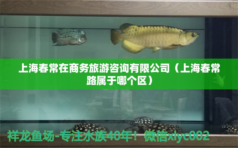 上海春常在商务旅游咨询有限公司（上海春常路属于哪个区） 全国水族馆企业名录