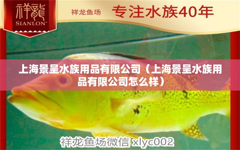 上海景呈水族用品有限公司（上海景呈水族用品有限公司怎么样）