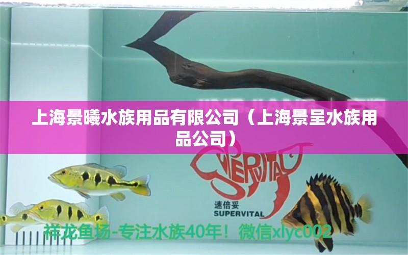 上海景曦水族用品有限公司（上海景呈水族用品公司） 水族用品