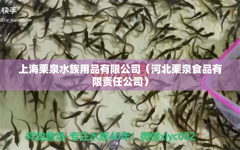 上海栗泉水族用品有限公司（河北栗泉食品有限责任公司）